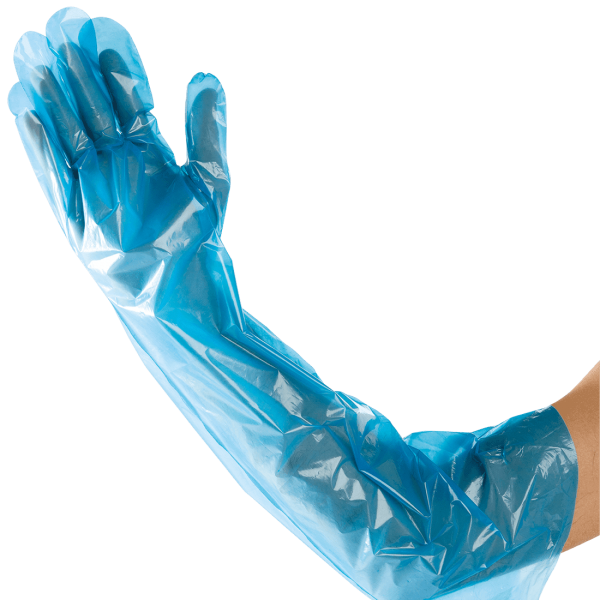 day flex higiéniai kesztyű